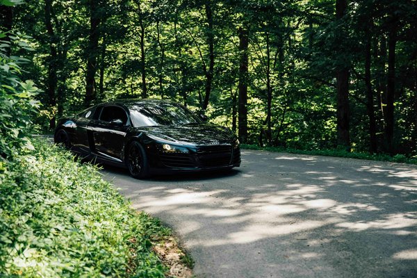 What Are the Most Suitable Dog Breeds for Therapeutic Visitation in Hospitals?